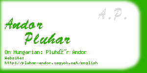 andor pluhar business card